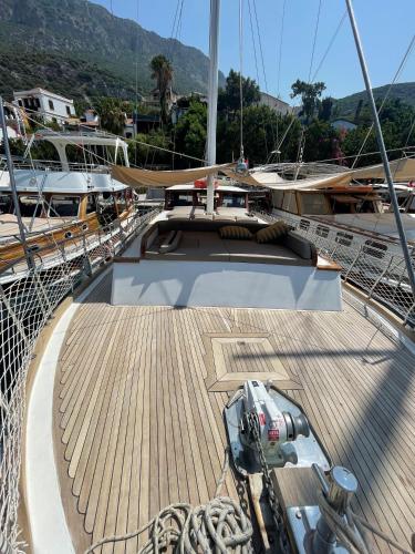 Albatros-Q - image 7