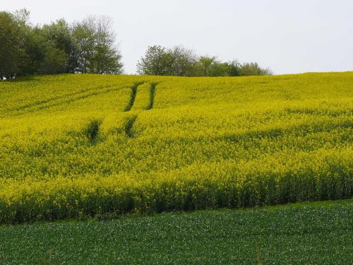 FeWo Tinchen Prora Ruegen