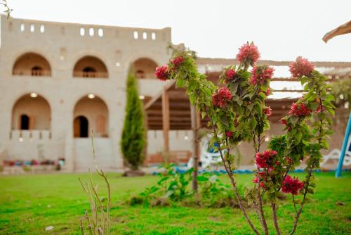كمبوند قرية تونس, Tunis (fotografie 7)