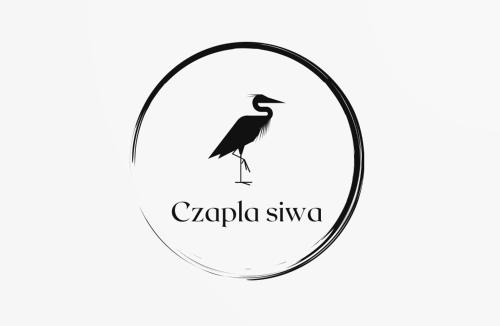 Czapla siwa