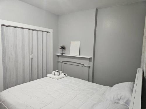 Fortune Suits and Apartment in Albany, USA