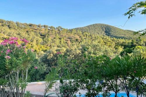 La petite maison sur la colline - Piscine privée - Location saisonnière - La Londe-les-Maures