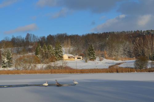 周邊環境, Vila Stašov (Vila Stasov) in 比斯特雷