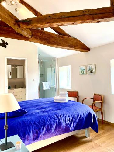 Душ, Aux Agapanthes, Chambres d'Hôtes charentaises de charme avec piscine (Aux Agapanthes, Chambres d'Hotes charentaises de charme avec piscine) in Aumagne