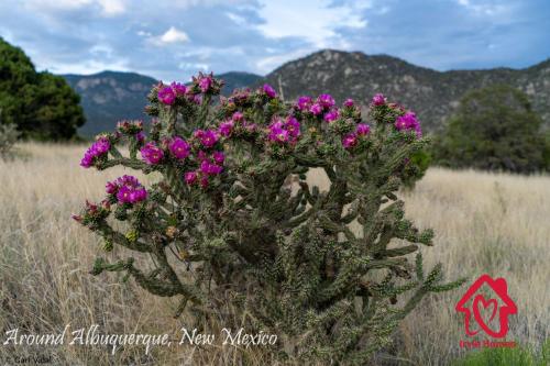 Pueblo Moon w Pool - An Irvie Home Pueblo Moon w Pool - An Irvie Home