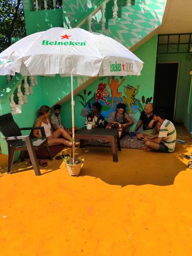 This Is It Jungle Maze Hostel