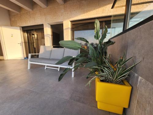 Luxurious penthouse for couples in Kiryat Mozkin