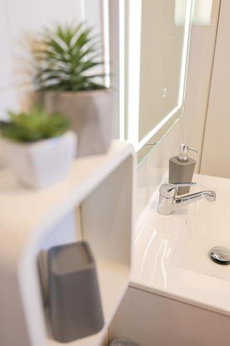 Apartment - Ground Floor image 8