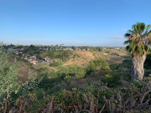 View, Canyon View Cutie in Bay Park