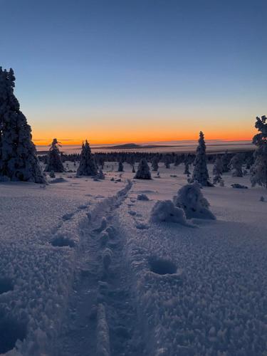 สภาพแวดล้อมโดยรอบ, Oloslaavu 2 in มิวนิโอ
