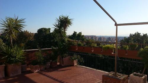 View, Zaccardi Roof Garden in Rome West