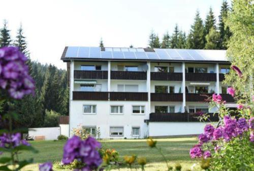 Tannenhof-Wohnung-4 - Apartment - Haidmühle