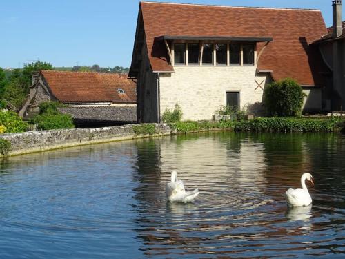 Moulin de Vasilière - Location saisonnière - Salles-Courbatiès