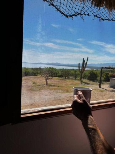 Re conectamos a los viajeros con la naturaleza. in El Sargento, Mexico