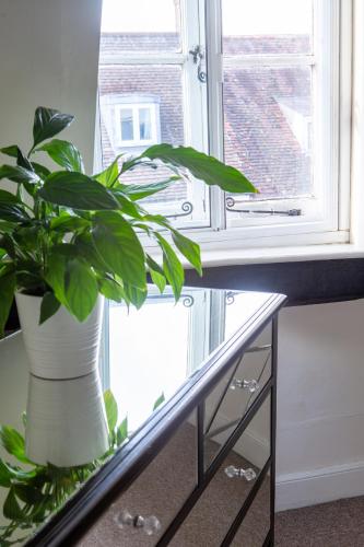 블랜드포드 포럼 The Hideaway, lovely cosy place in Blandford Forum, Dorset 4성급 싱글룸 객실