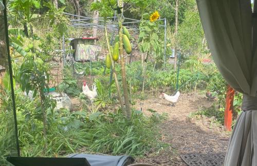 Artsy Cabin on Organic Farm