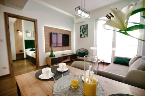 Apartament No 34 Green - Holiday Home Zator - Zator