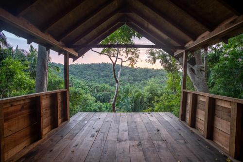 Casa Jaguar Retreat in San Francisco, Mexico