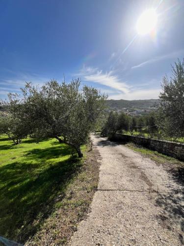 The Olive Grove Cottage with private swimming pool