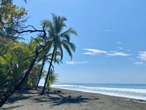 Beach, Casa Tropical Ceiba in La Palma