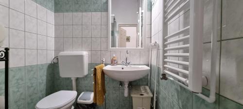 Daylight Apartment 5