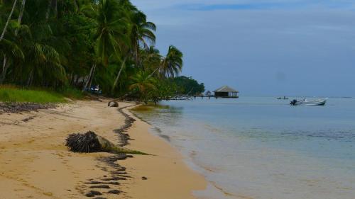 Private Beachfront House with Kayak & Guided Tours