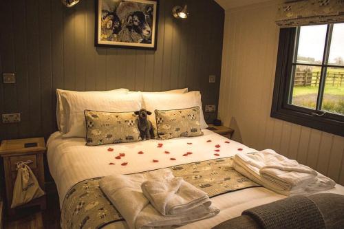 Springwood Shepherd Huts Glamping York gîte à louer Escrick