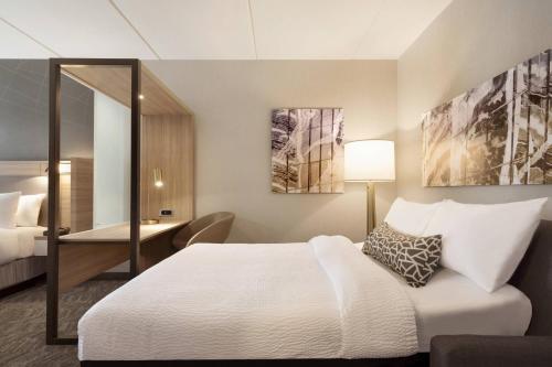 SpringHill Suites by Marriott Allentown Bethlehem/Center Valley - image 6
