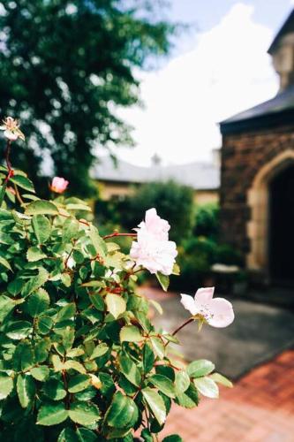 Haven on High - heavenly hideaway in Central Tas