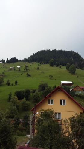 Vila Moecel