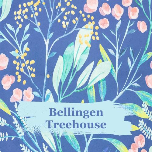 B&B Bellingen - Bellingen Treehouse - Bed and Breakfast Bellingen
