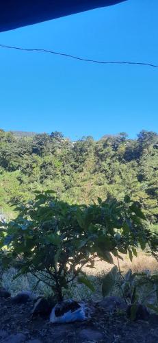 Hiker's Homestay - 주변 환경