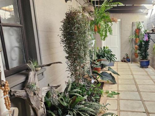 حديقة, At 37 Masters Way in Van Riebeeck Park