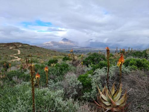 المنطقة المحيطة, At 37 Masters Way in Van Riebeeck Park