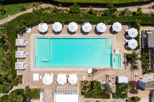 529629688 Tenuta Centoporte