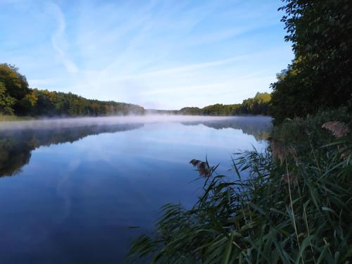 . Domek letniskowy Nad Mrowinkiem