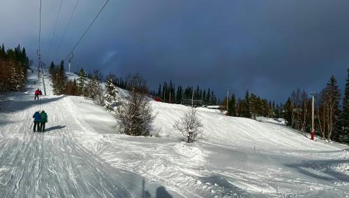 Trilodge - Unique cabin with high standard, views, ski in & out, attractive location