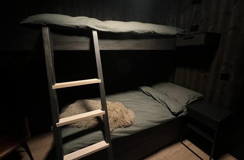 Trilodge - Unique cabin with high standard, views, ski in & out, attractive location