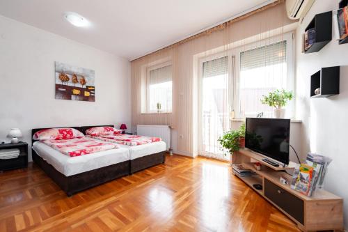 Momo's studio apartment Subotica - Location saisonnière - Subotica