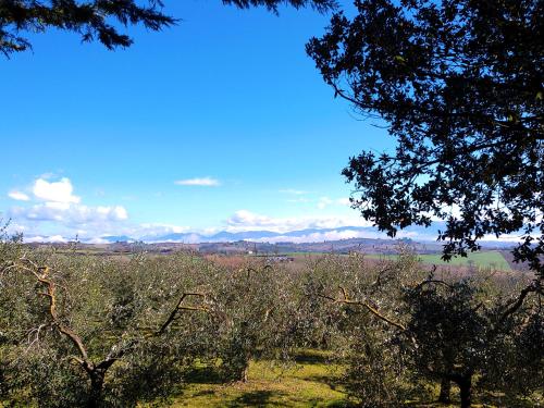 La Collina dei Venti