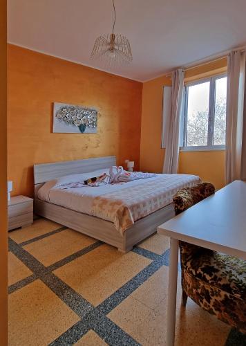 B&B MARTIN - image 6