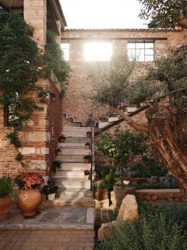 Not Boutique Hotel - image 14