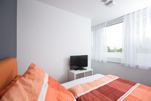 Studio Apartment image 10
