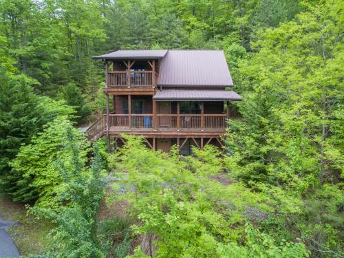 Firefly Lodge Private Log Cabin with Mountain Views! in Black Mountain, USA