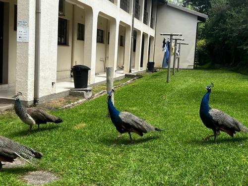 Apt 26 Eden Wilds Umtamvuna Getaway in 愛德華港