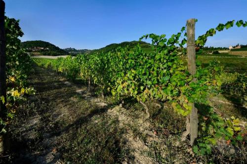 Cascina Olivetta -sleep in winery