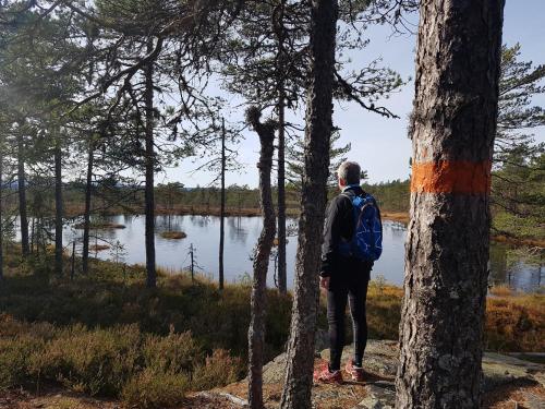 Ulvsby Herrgård - image 10
