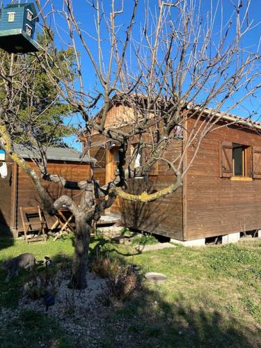 Le Chalet Pignantais - Location, gîte - Pignans