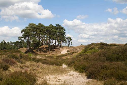 Bed & Breakfast Zeeuws Gelukkig