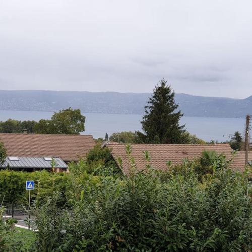 Studio cosy proche Evian in Maxilly-sur-Leman